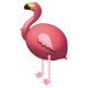 Flamingó Tropic sétáló fólia lufi 83 cm